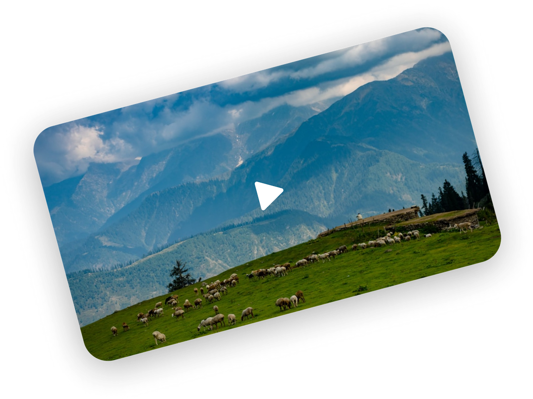 Example landscape video