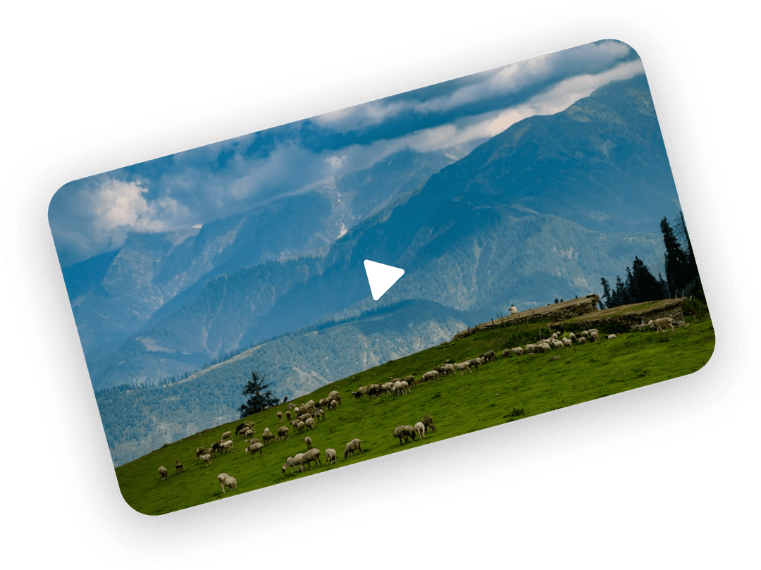 Example landscape video